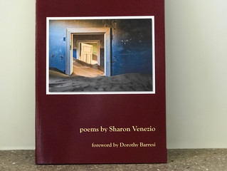 The Silence of Doorways on Thursday