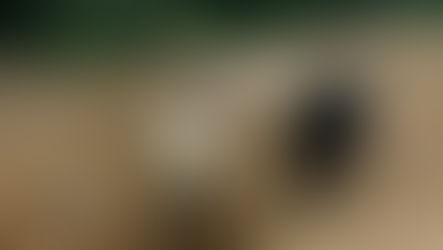 El Mariátegui posible