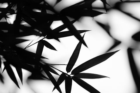 Analytics and performance tracking services in Lake Charles, Louisiana, helping businesses monitor metrics, gain insights, and achieve steady, sustainable growth.