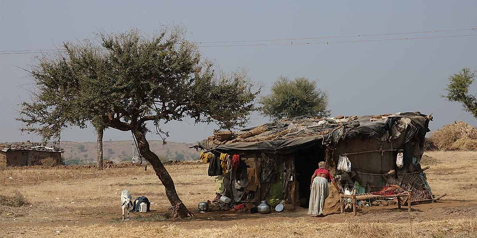 LUXURY AFRICAN SAFARI TOURS