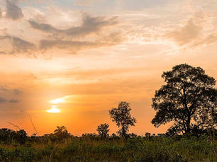 Planning your luxury safari