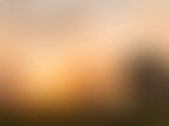 Planning your luxury safari