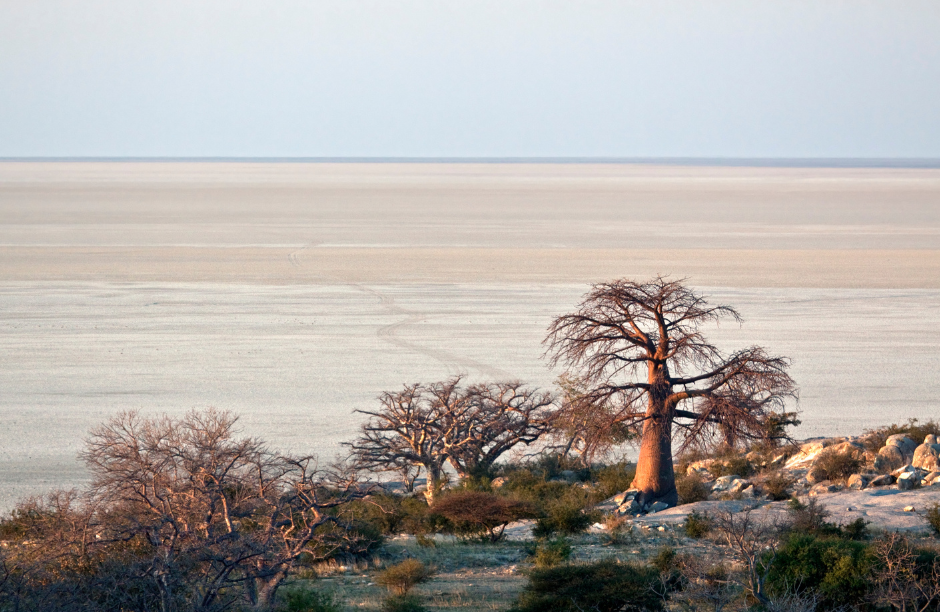 LUXURY SAFARI EXPERIENCE