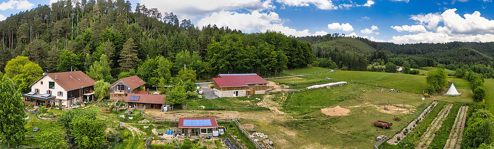 DJI_0459_panorama.jpg