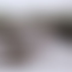 Weihnachtsgeschenk gesucht?