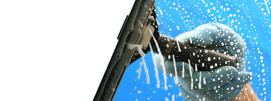 Picture-3.webp