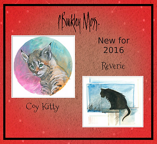 Kitty 2016