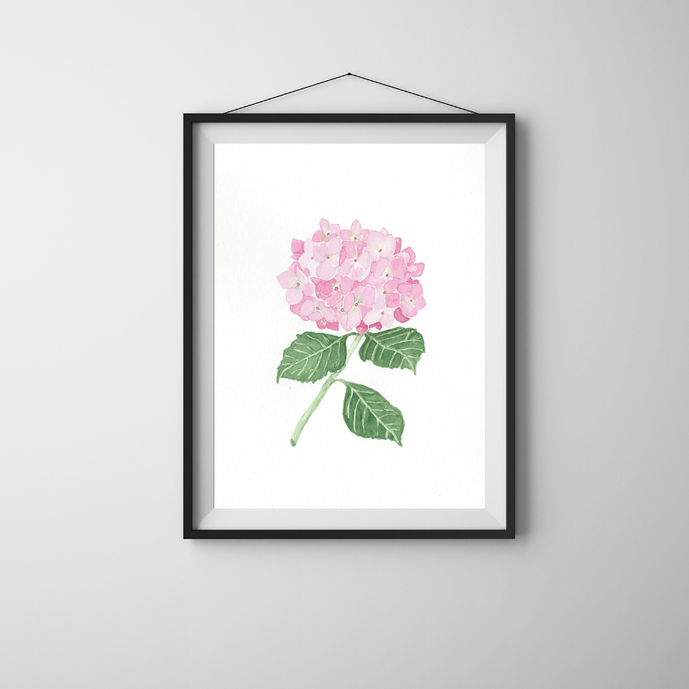 Framed watercolor pink hydrangea flower
