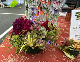 Fall Festival 4.jpeg