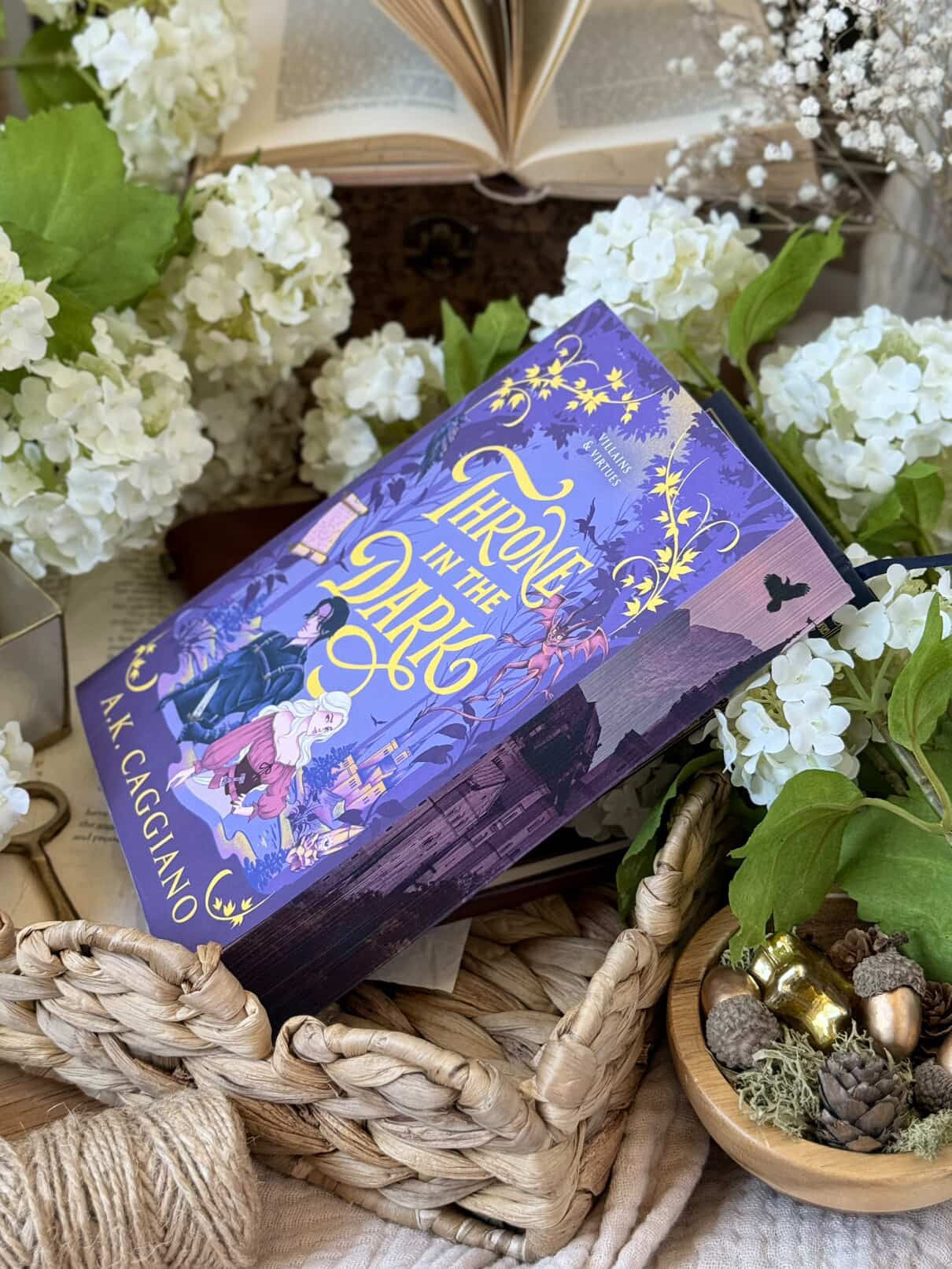 Villains And Virtues By A.K. Caggiano - Bookish Signs And More Exclusive