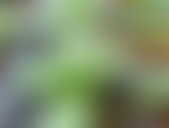 A reflection...and a new beginning