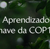 O que aprendemos na COP16: 4 aprendizados para preservar e valorizar a biodiversidade