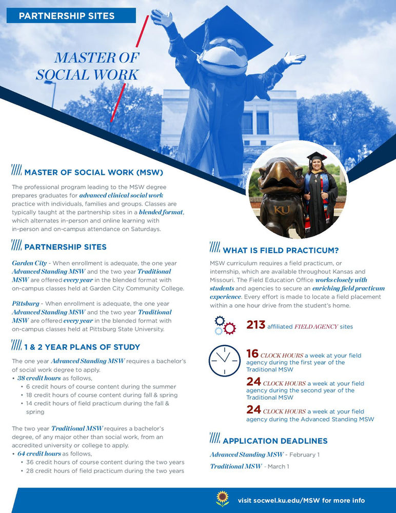 Master of Social Work opportunities