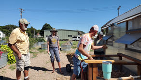 Community gardeners learn about reducing waste, creating compost