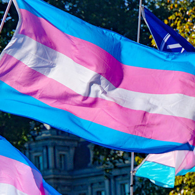 REVEALED: The links between the government’s top diversity civil servant and the LGB Alliance