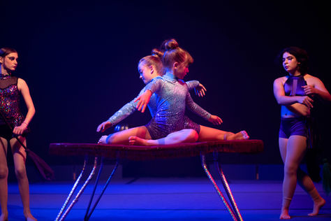 Talented MSA students shared the center ring with Chicago's very own performing Artists