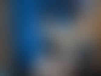 msa aerial arts students chicago