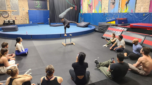 Handstand Demonstration Chicago MSA