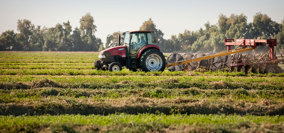 Red tractor in a agricultural field