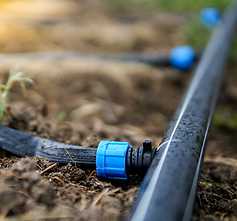 JW Drains (2).png