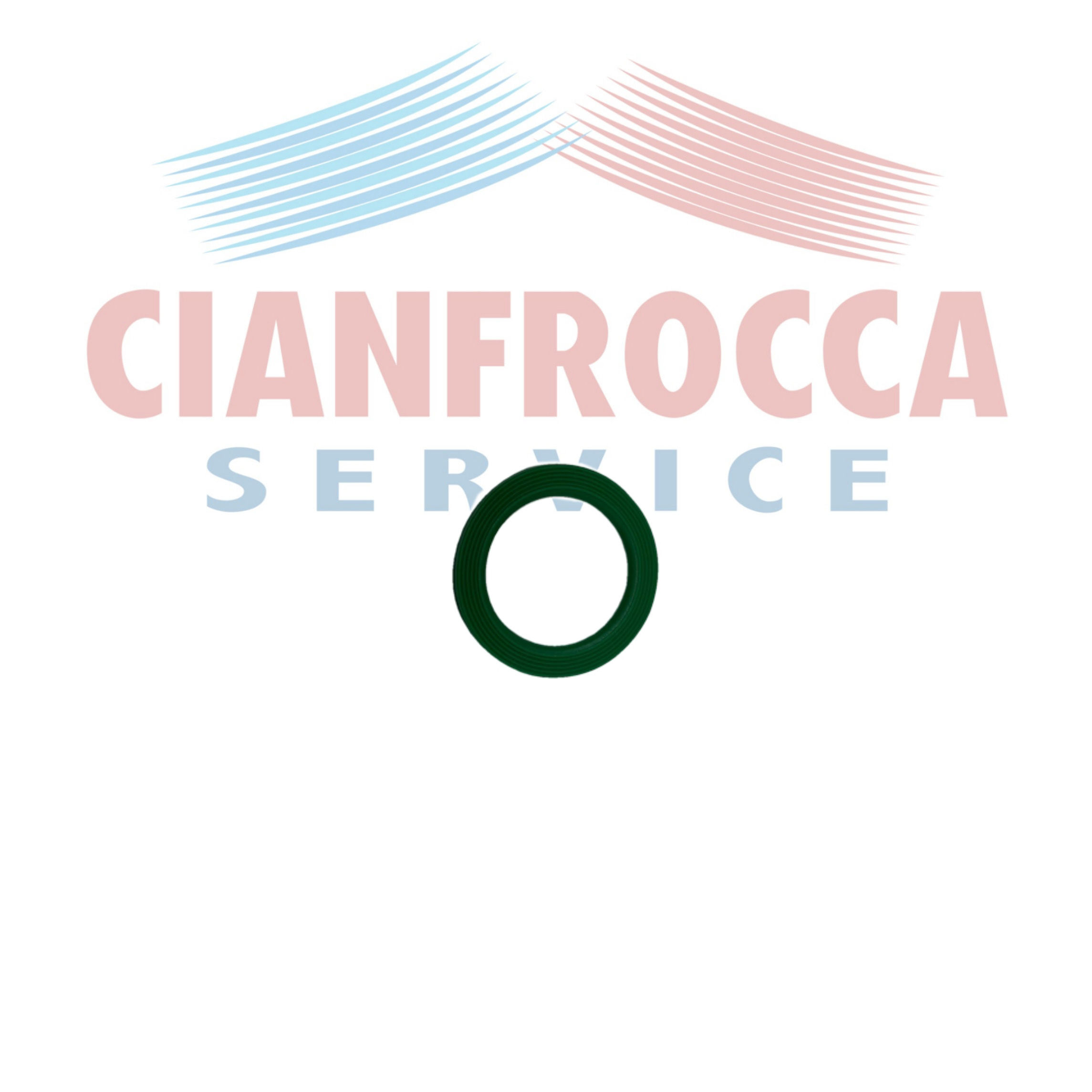 Guarnizione Gruppo Coltelli Bimby TM5 TM6 Compatibile