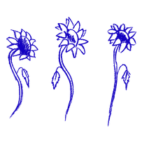 Sunflower 1 RGB.png
