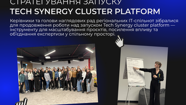 Стратегування над запуском Tech Synergy cluster platform