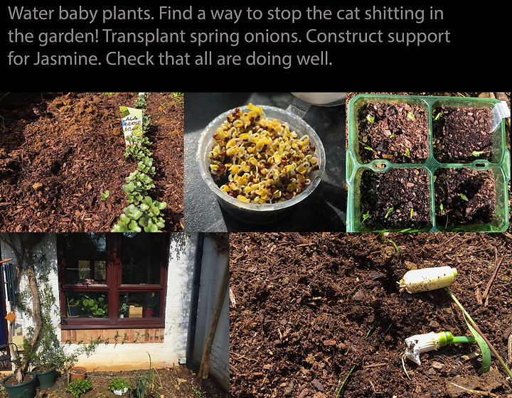 Day 10_Daily life.jpg