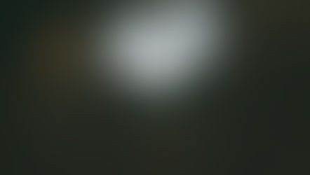 Authenticity: An Organisational Value or a Relationship?