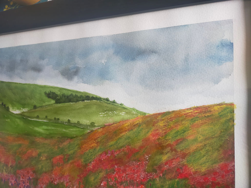 Miniatura: Poppies in South Downs Fields 
