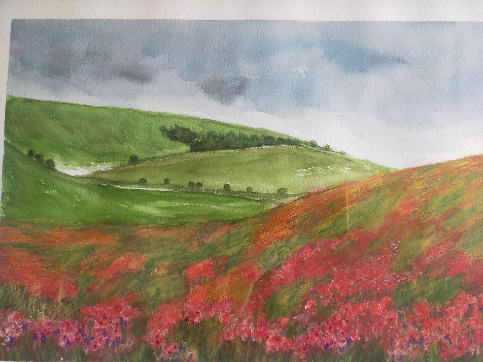 Miniatura: Poppies in South Downs Fields 