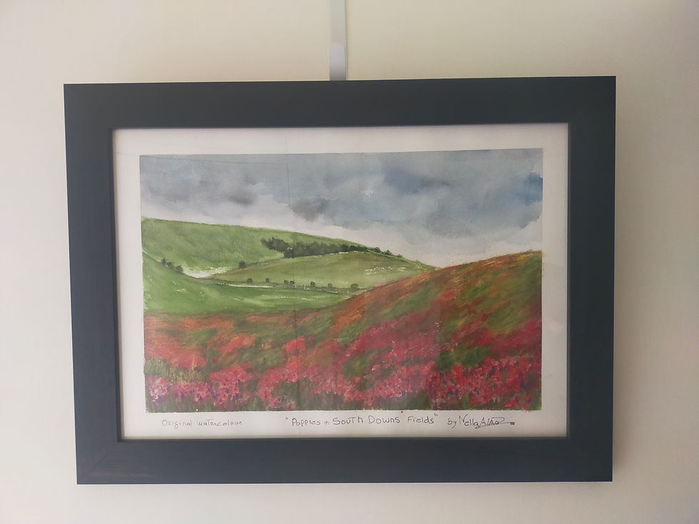 Miniatura: Poppies in South Downs Fields 