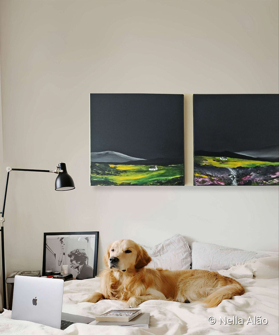 Miniatura: Paintings can create more interesting décor in a plaine bedroom
