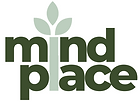 Mindplace Multilingual Therapy Center