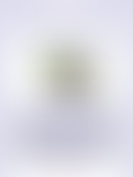 Unlocking Leadership & Potential: CHW Leadership Development Training