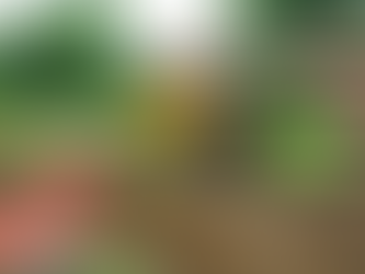 Why Winter Is the Best Time to Transform Your Home & Garden