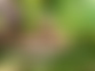 Are there weeds in your life?!