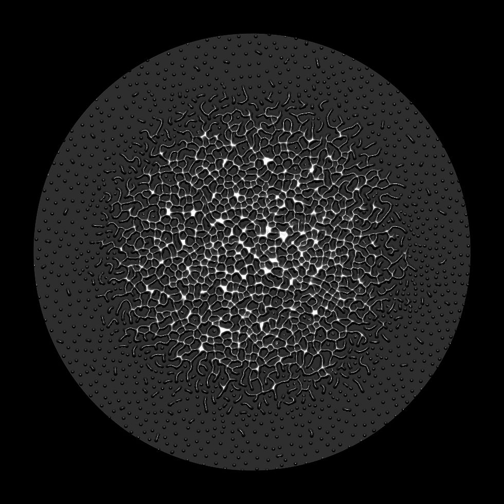 NEUTRAL NUCLEUS