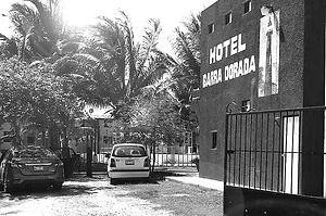 barra dorada_edited.jpg