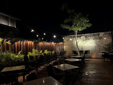 Picheta noche.jpg