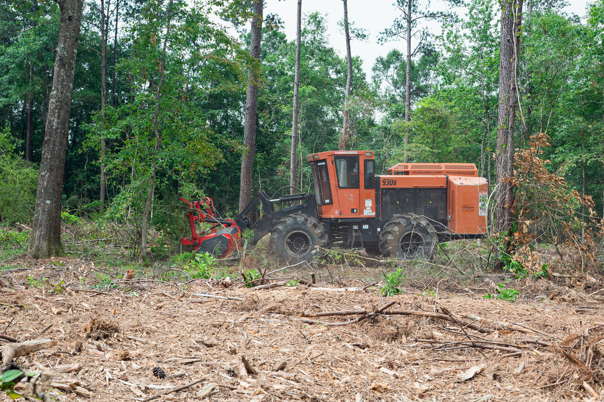 PTS Forestry Web-17.jpg