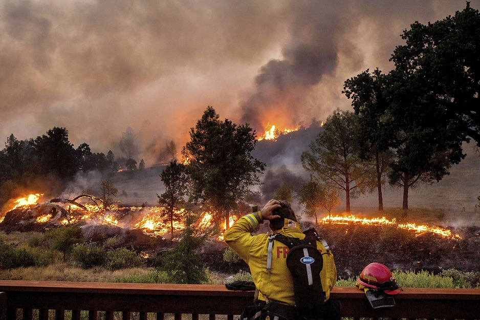 california forest fire.jpeg