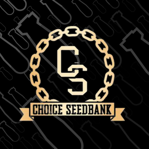 Choice Tile CMC