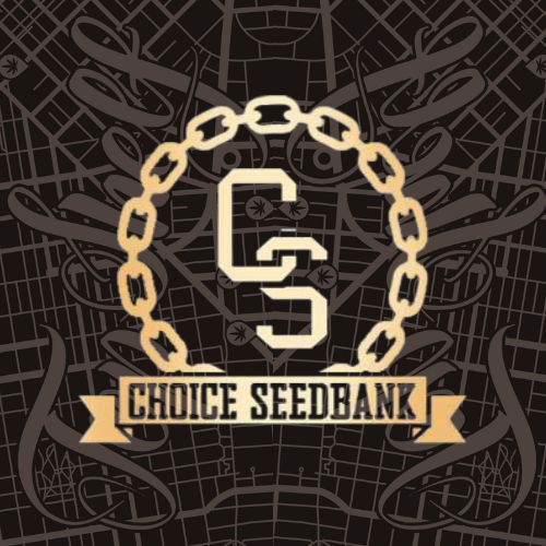 Choice Tile TSE