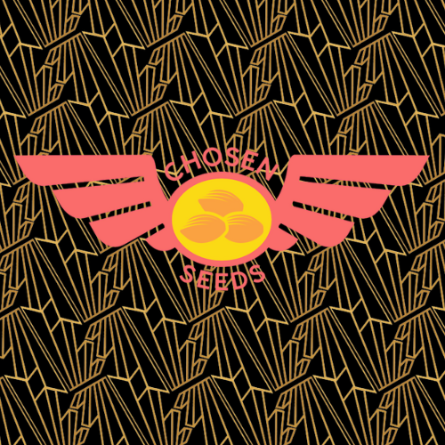 Chosen Tile PCC