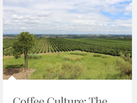 https://allsetconcierge.com/2018/03/20/coffee-culture-the-history-of-fazenda-tozan/