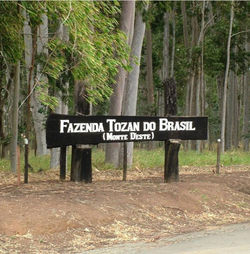 ENTRADA
