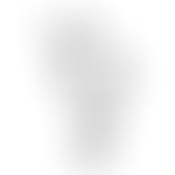Recruiter IT - pesci fuor d'acqua