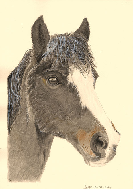 Max Commission completed 10-07-2024.jpg