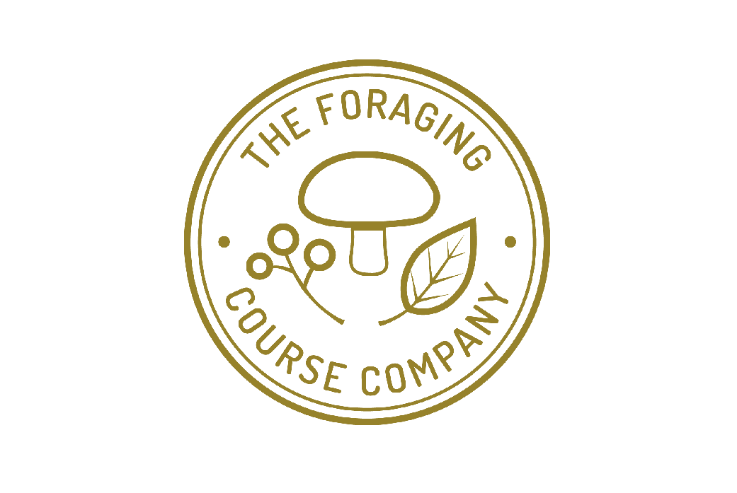 The Foraging Course Company Ltd logo
